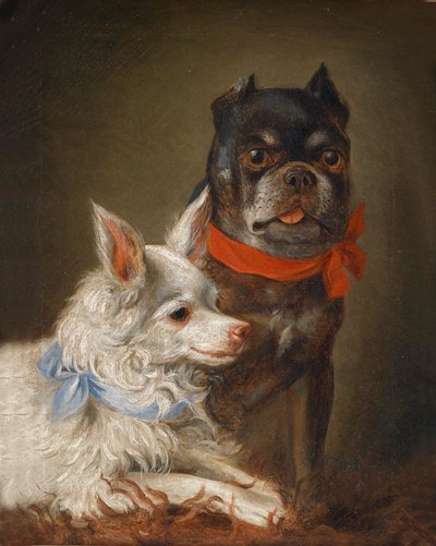 Ritratto di cane da Julius Hamburger